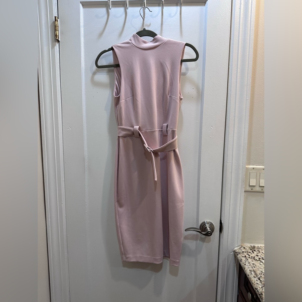 Express Pink Midi Dress